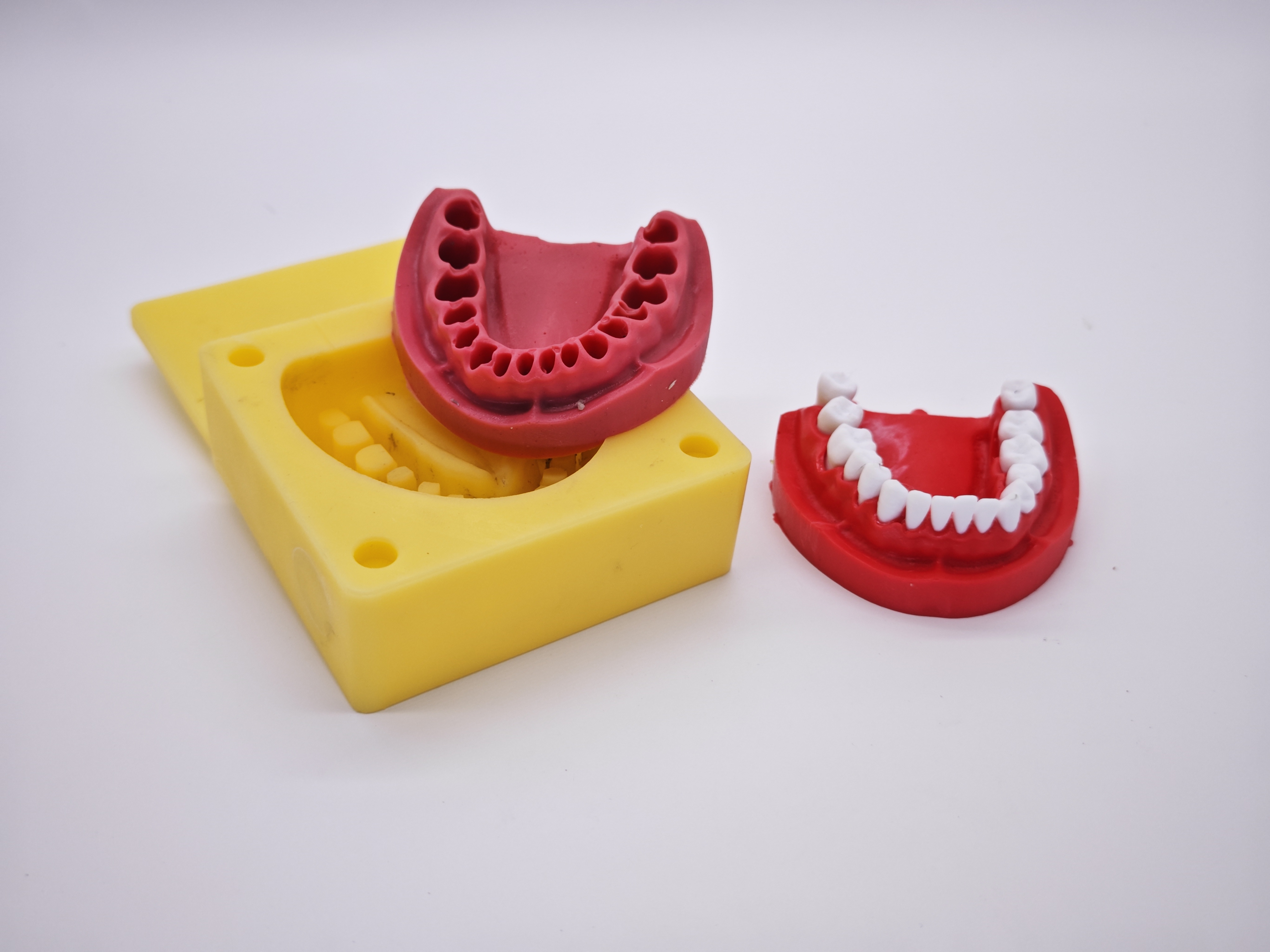 Tooth Model