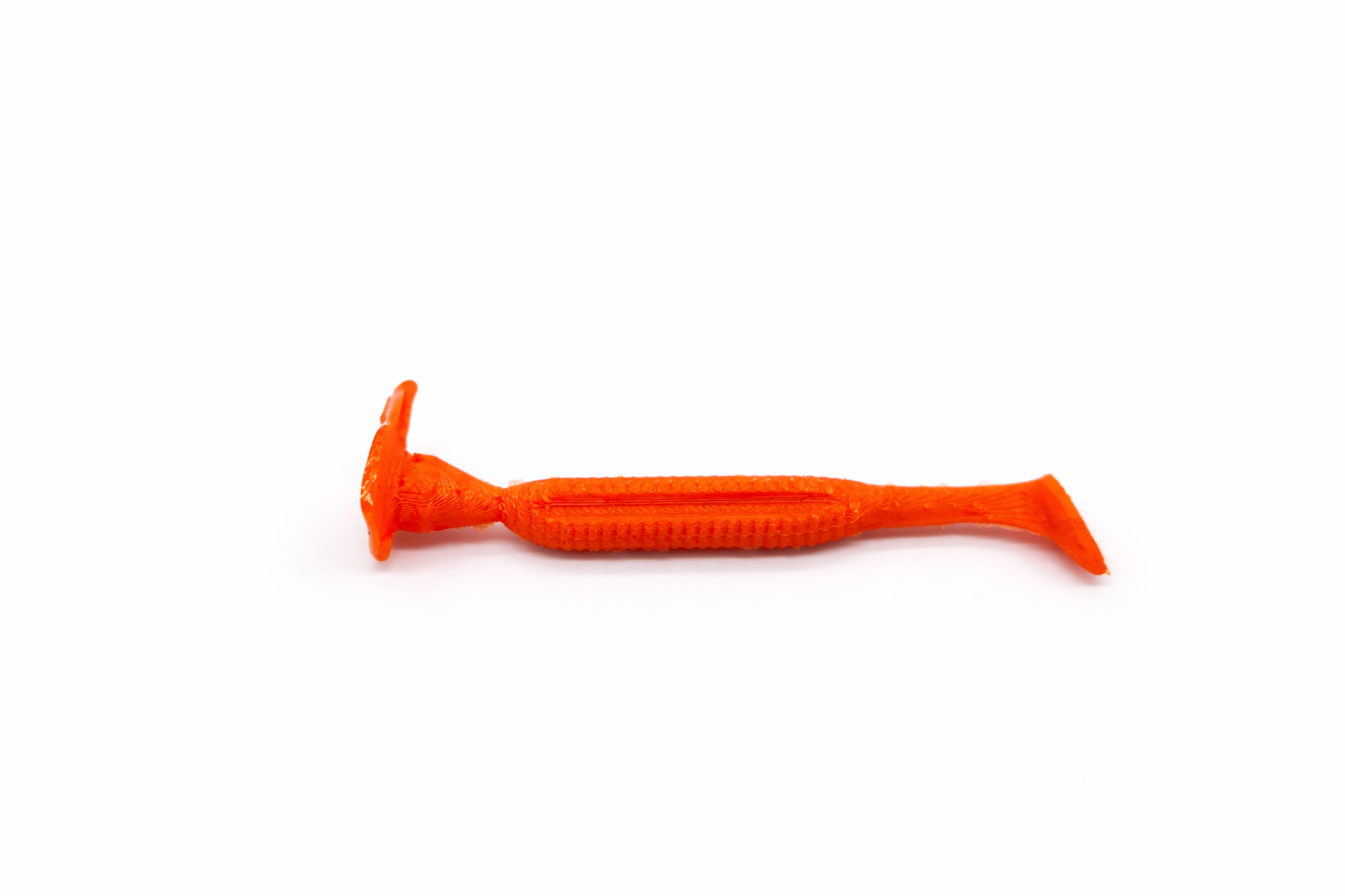 Ribbed Minnow