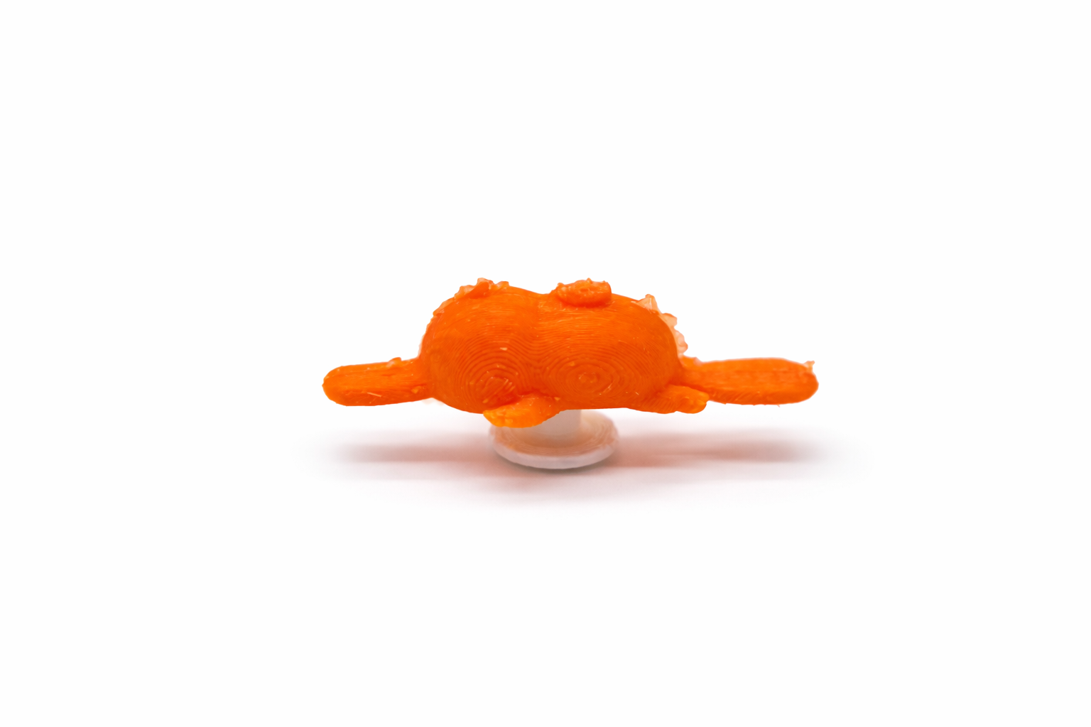 Crocs Accessories (Platypus) image 2