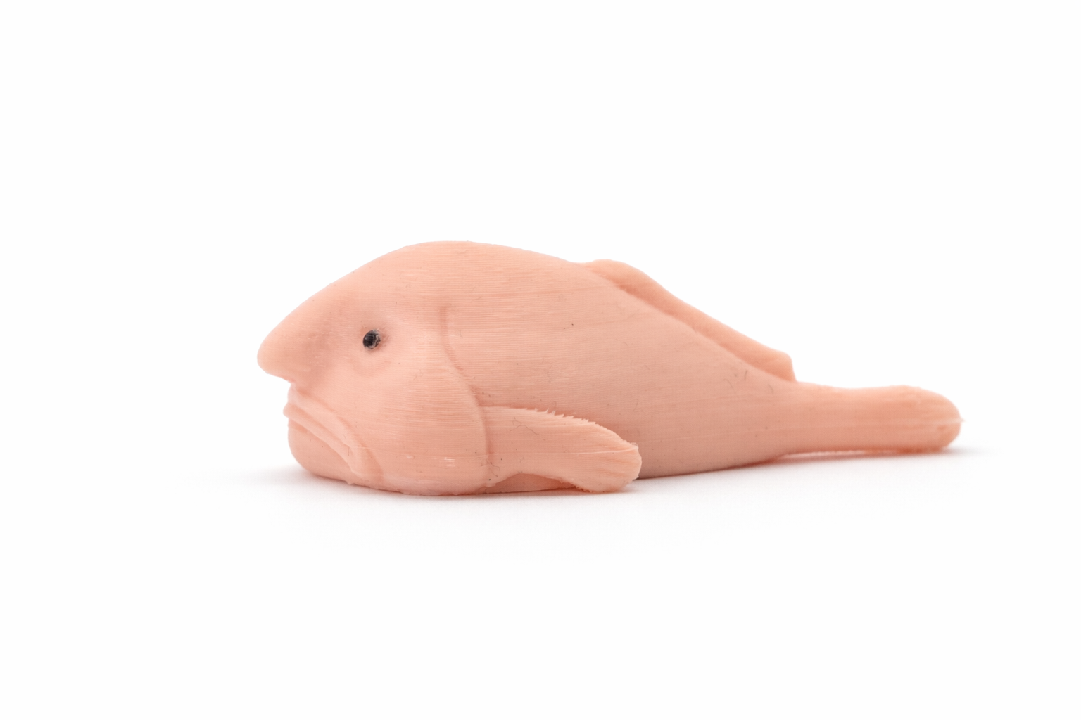 Blobfish image 2