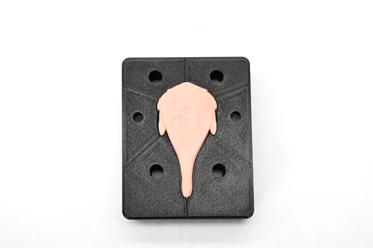 Blobfish image 3