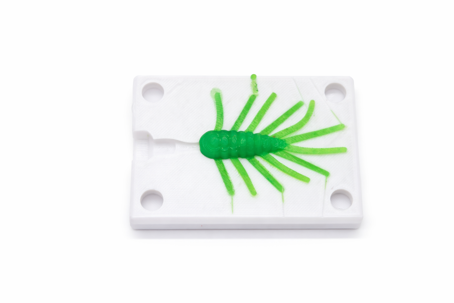 Creeper Bug