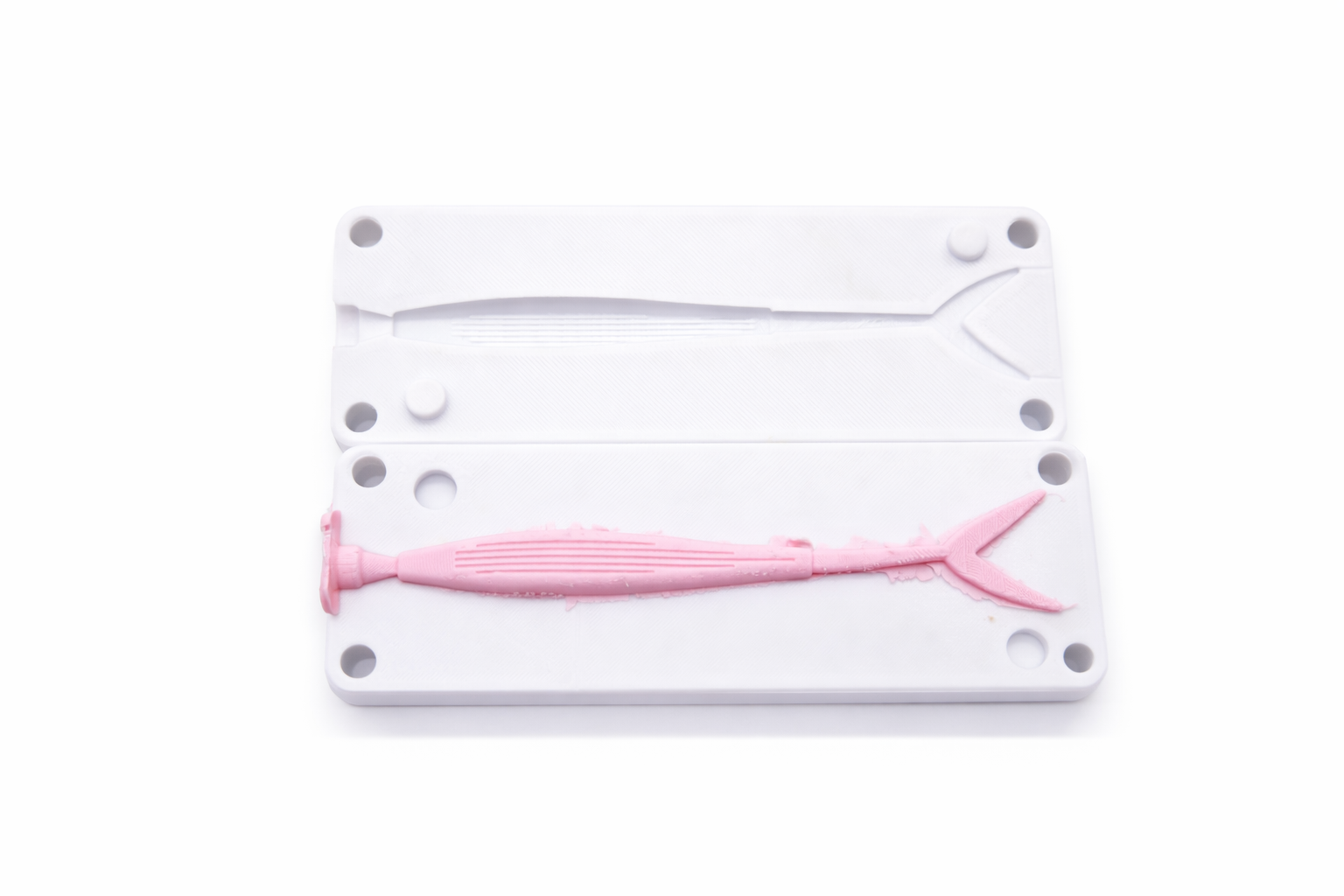 V-Tail Minnow