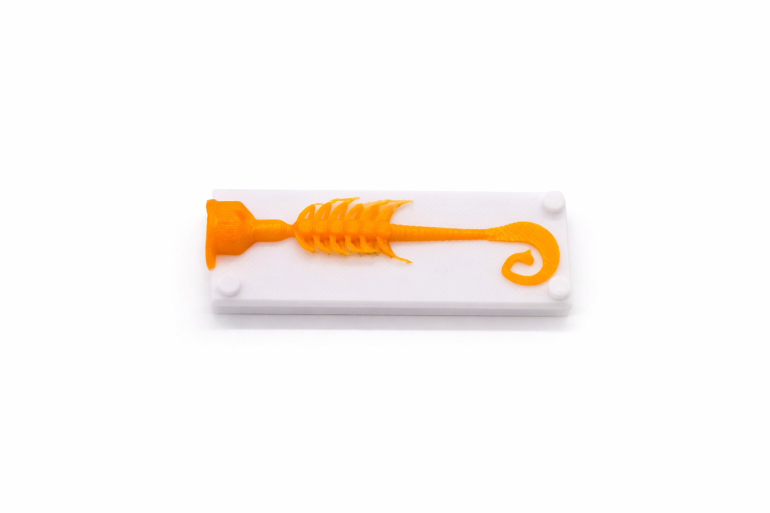 Twister Grub