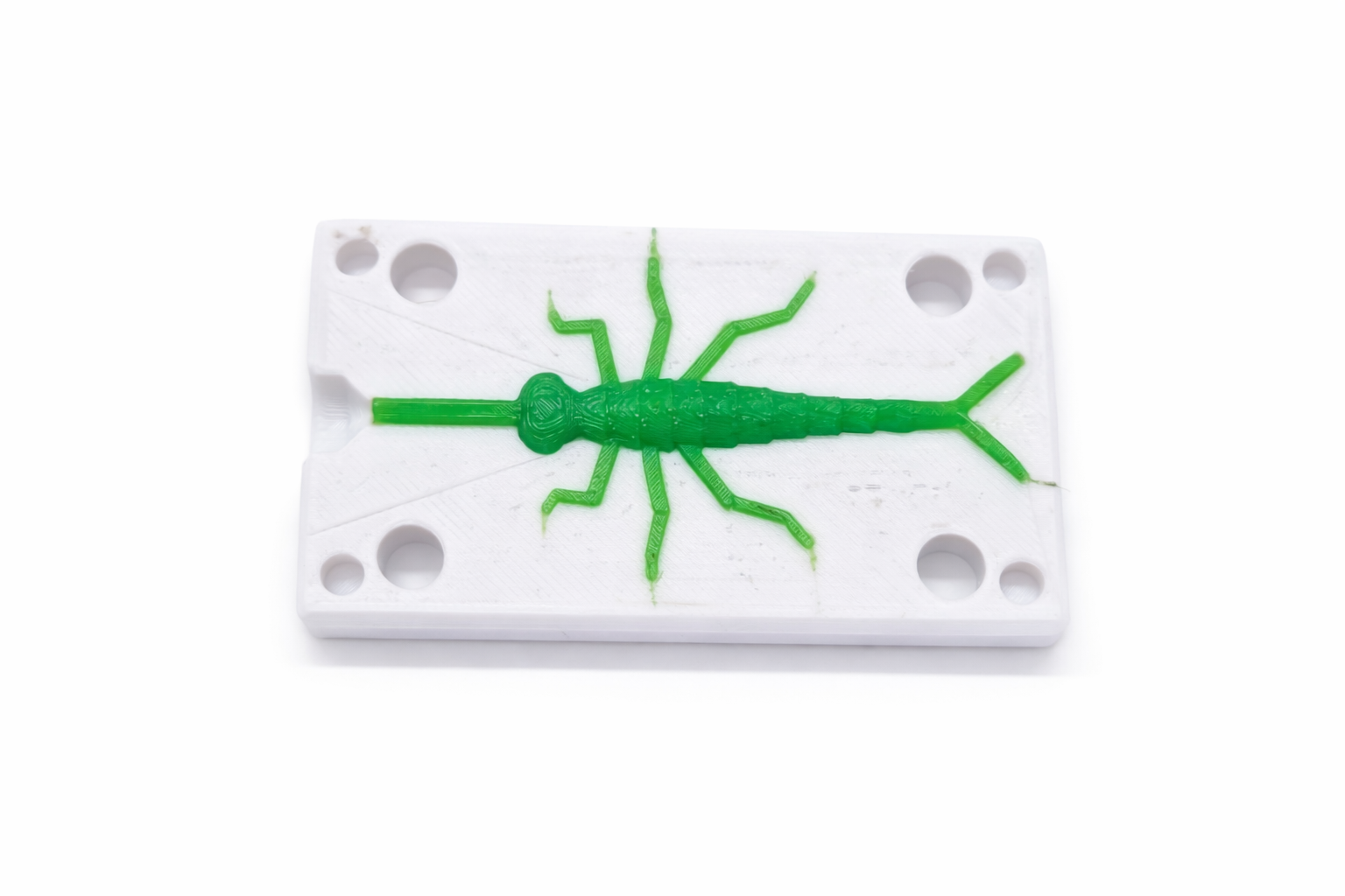 Nymph Tail