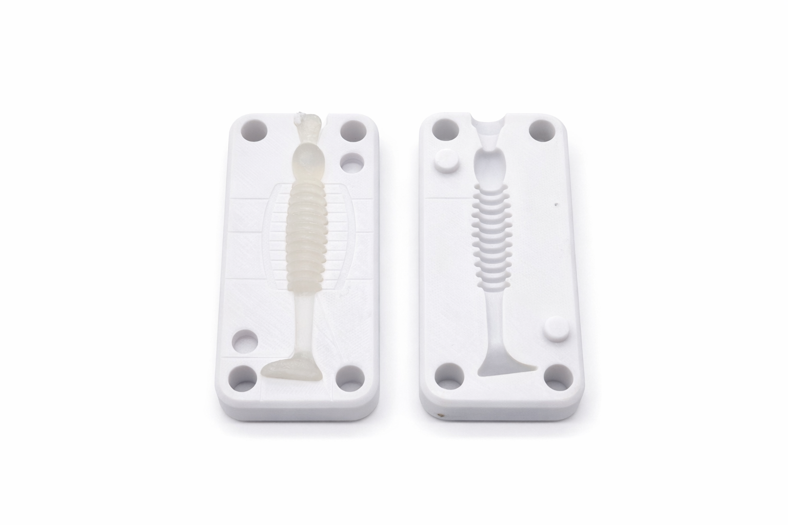 Rib Shad image 2