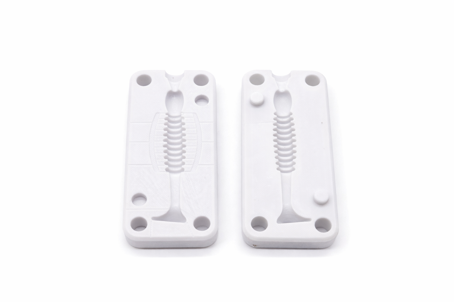 Rib Shad image 3