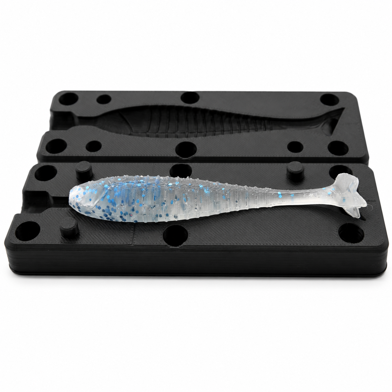 Ribbed Duckfoot Shad image 2