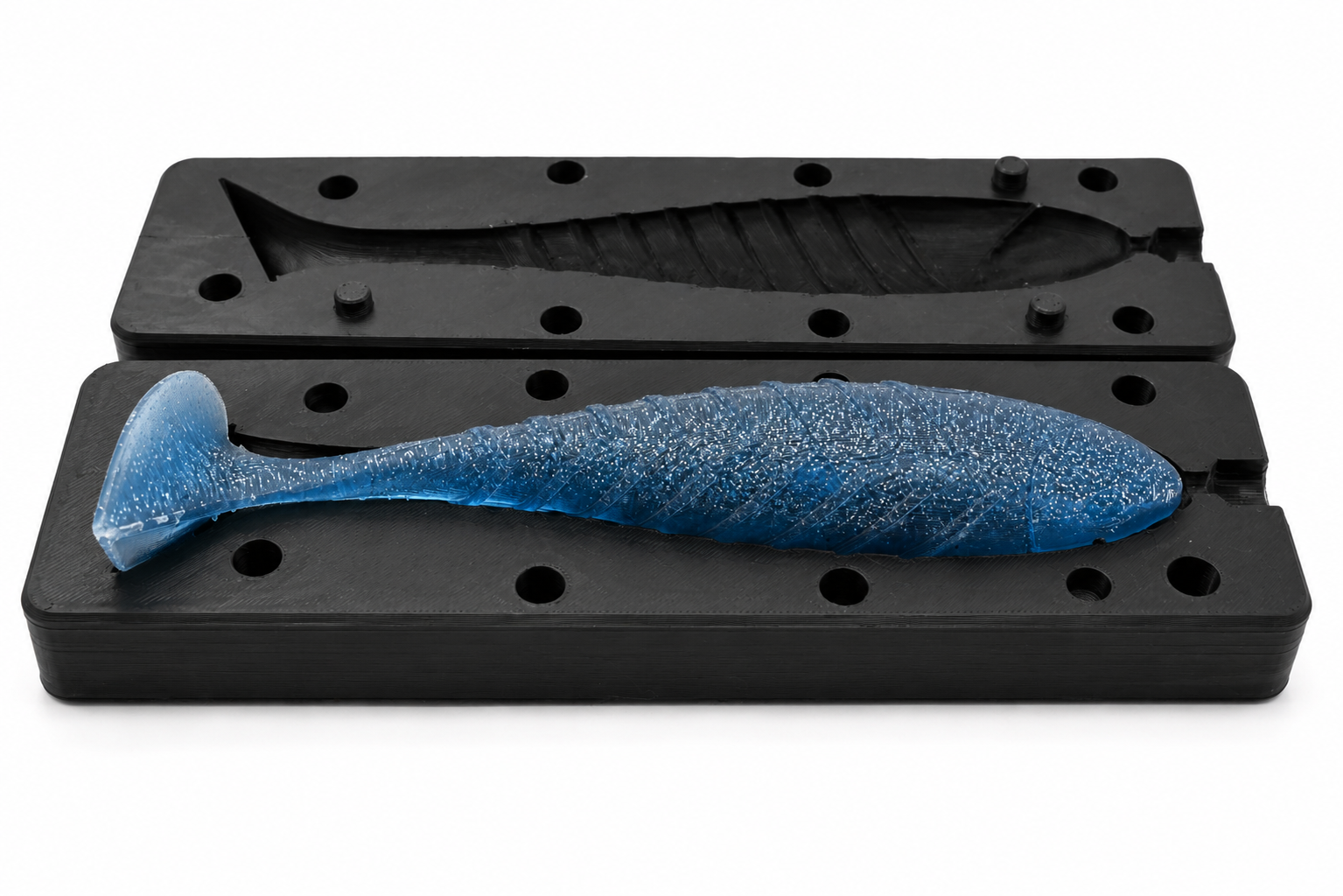 Ribbed Heart-Tail Shad image 4