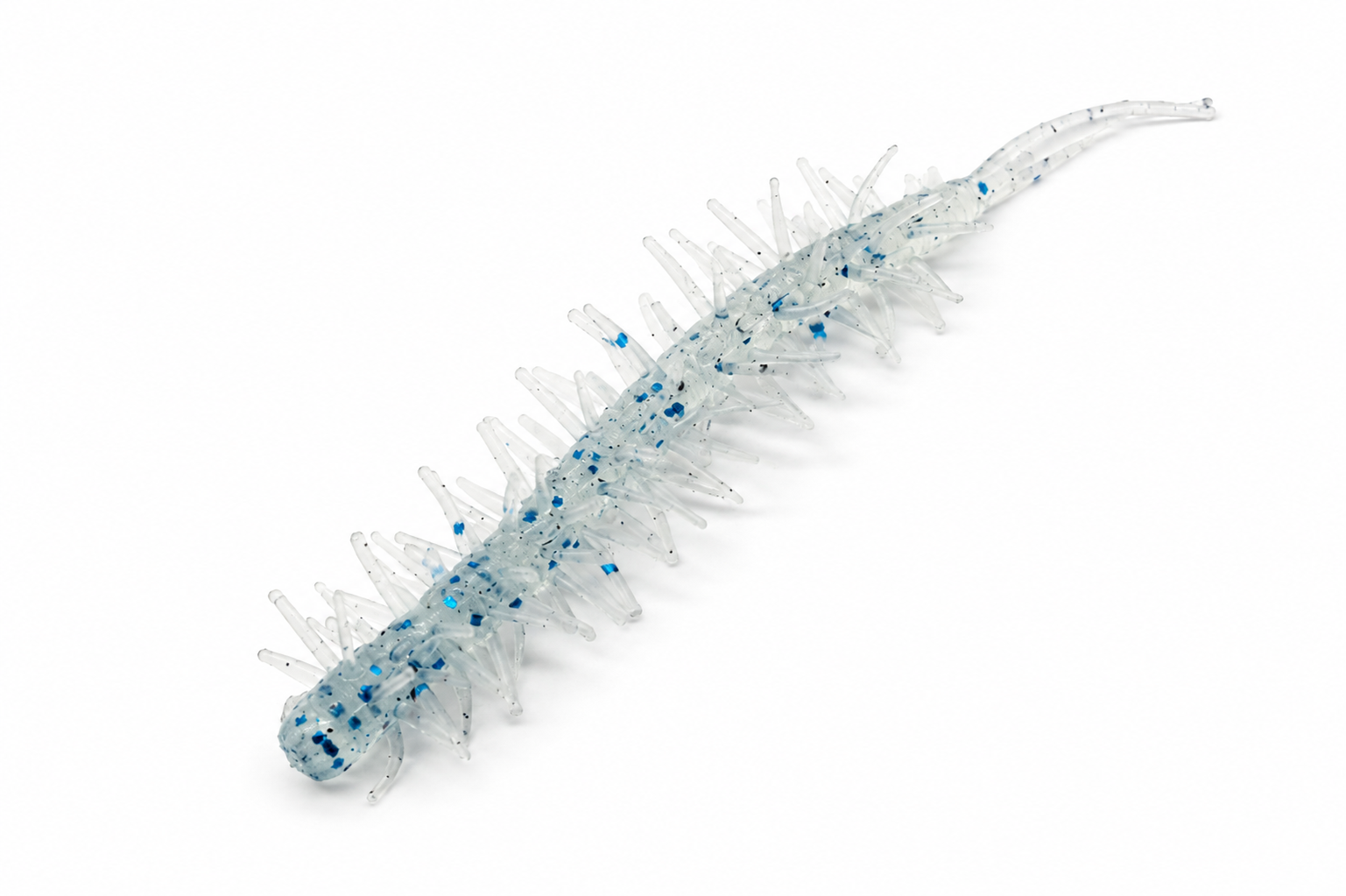 Sea cucumber