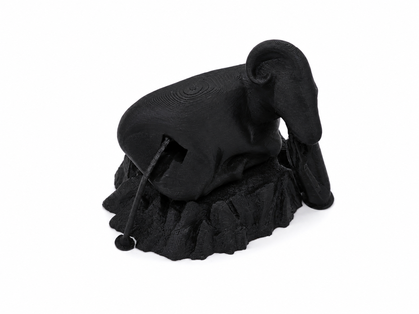 Sheep's Buttocks image 3