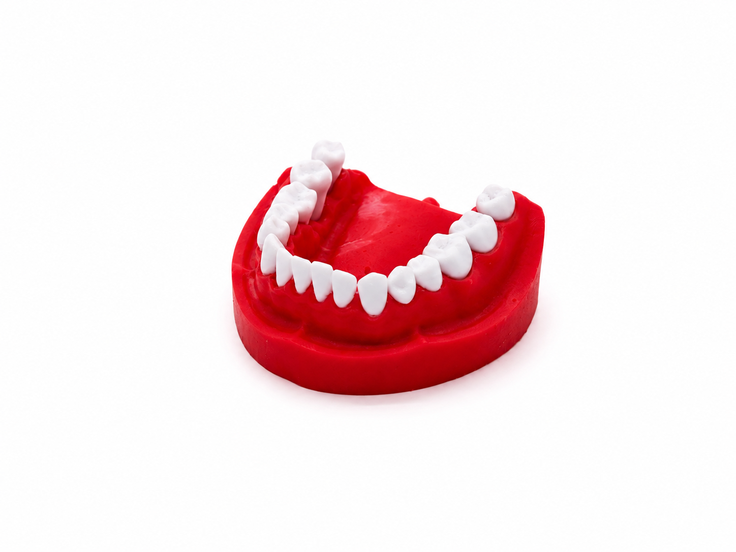 Tooth Model
