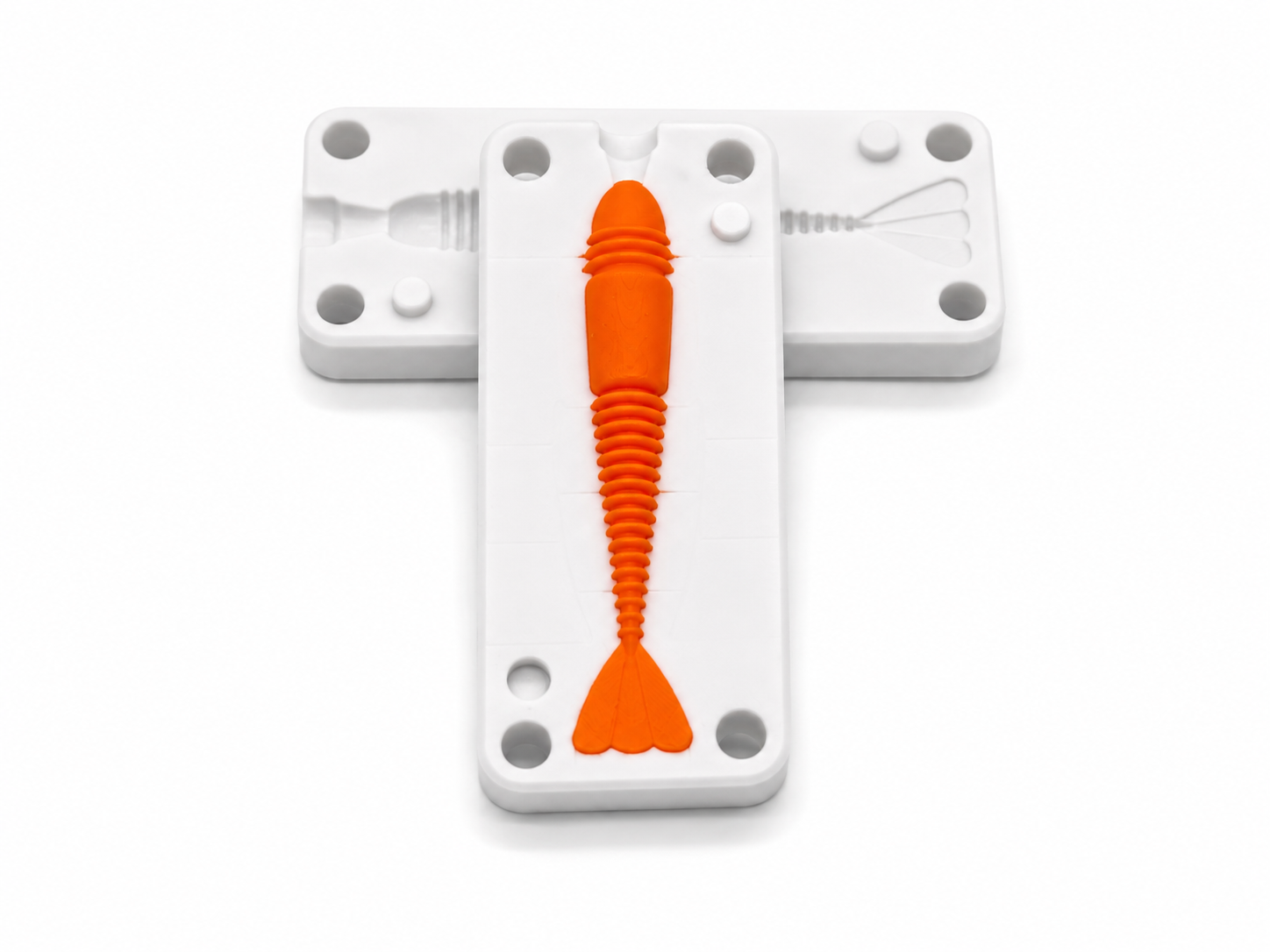 Bullet Minnow image 2